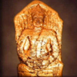 Meet your Posher, Amphone